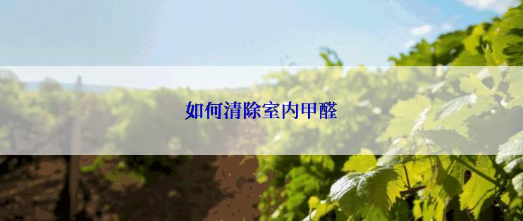 如何清除室内甲醛