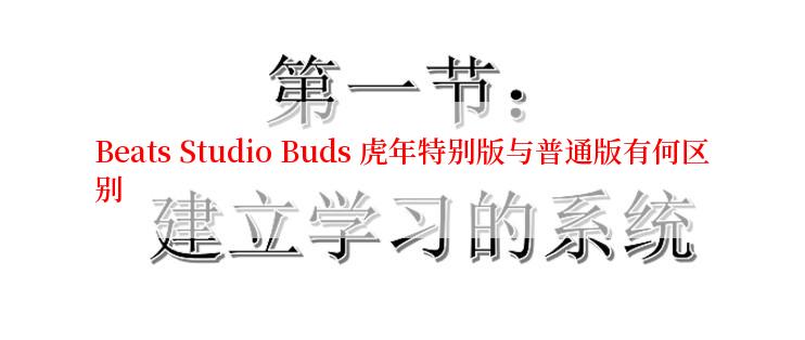 Beats Studio Buds 虎年特别版与普通版有何区别