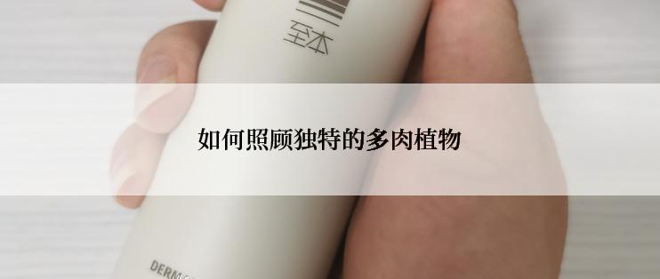 如何照顾独特的多肉植物
