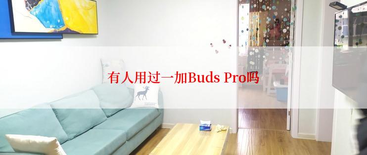 有人用过一加Buds Pro吗