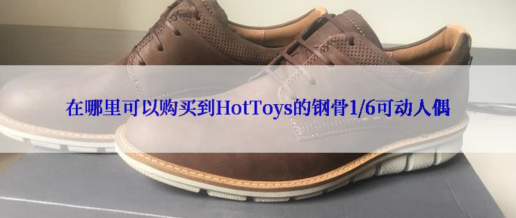 在哪里可以购买到HotToys的钢骨1/6可动人偶