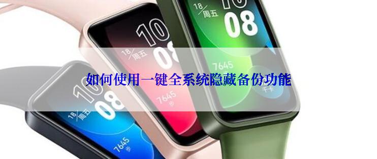 如何使用一键全系统隐藏备份功能