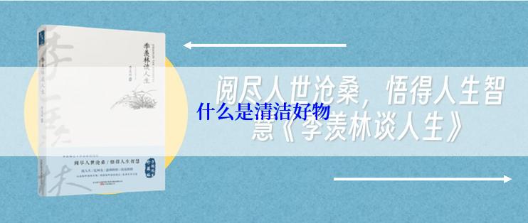 什么是清洁好物