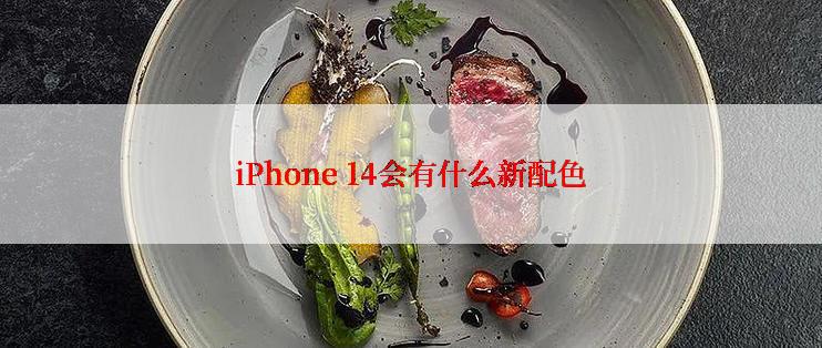 iPhone 14会有什么新配色