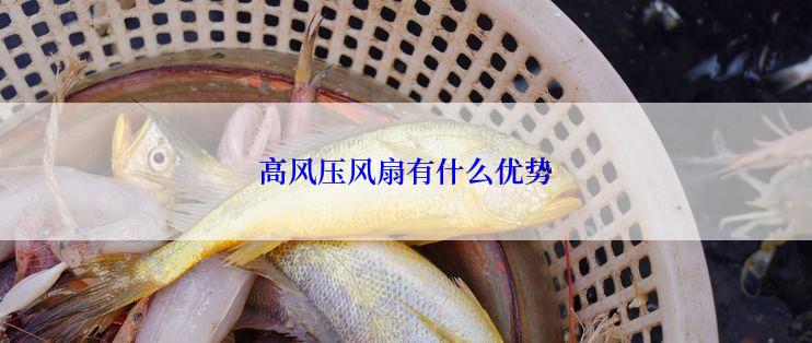 高风压风扇有什么优势