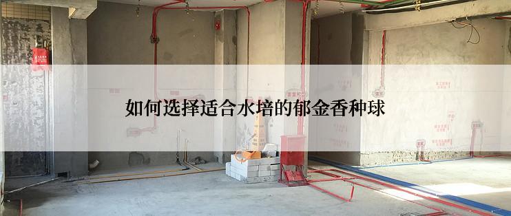 如何选择适合水培的郁金香种球