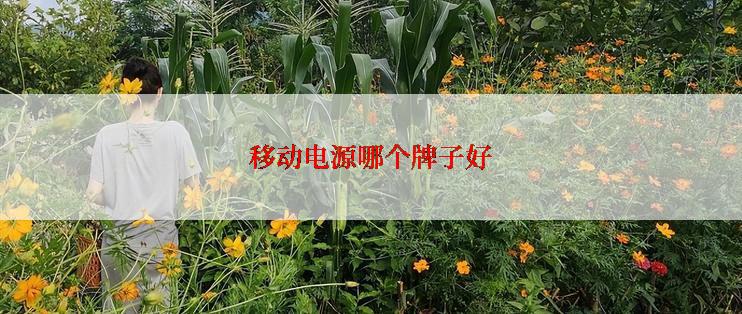 移动电源哪个牌子好