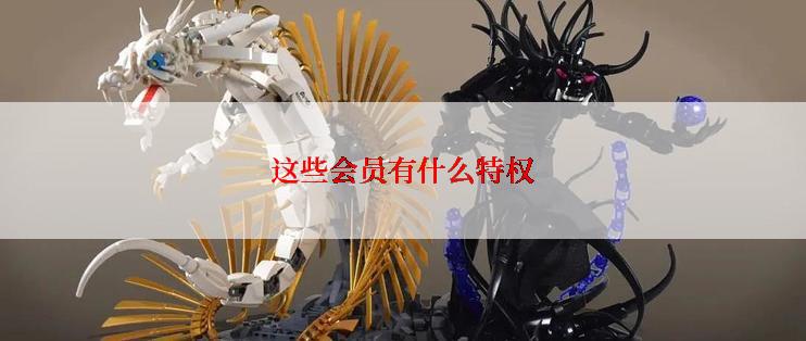 这些会员有什么特权
