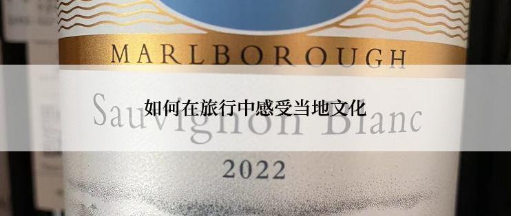 如何在旅行中感受当地文化