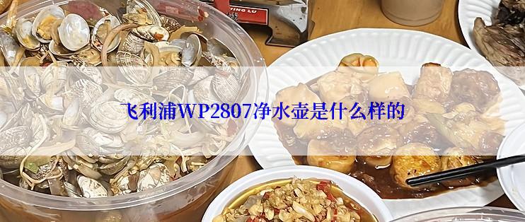 飞利浦WP2807净水壶是什么样的