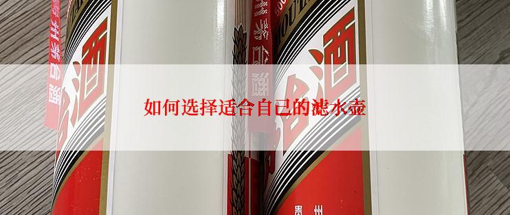 如何选择适合自己的滤水壶