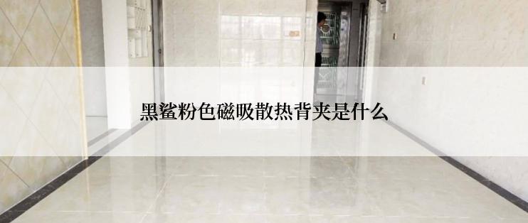 黑鲨粉色磁吸散热背夹是什么