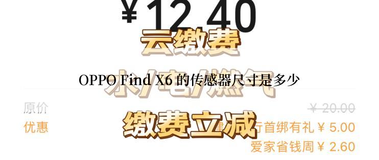 OPPO Find X6 的传感器尺寸是多少