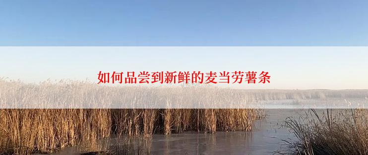 如何品尝到新鲜的麦当劳薯条