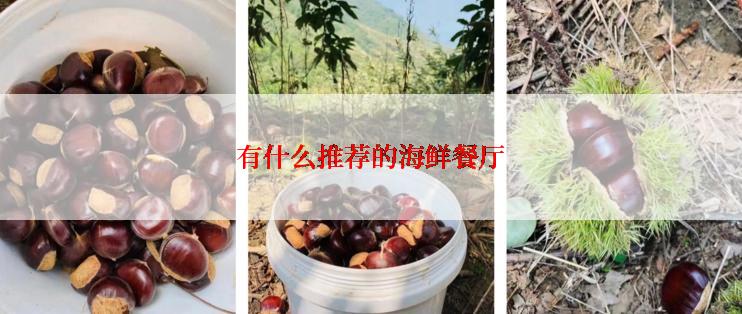 有什么推荐的海鲜餐厅