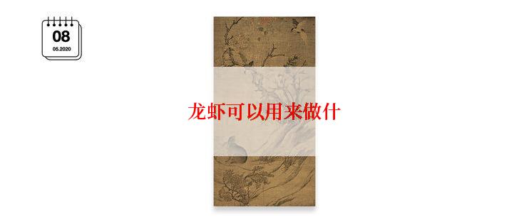 龙虾可以用来做什