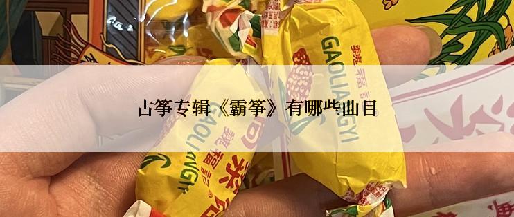 古筝专辑《霸筝》有哪些曲目