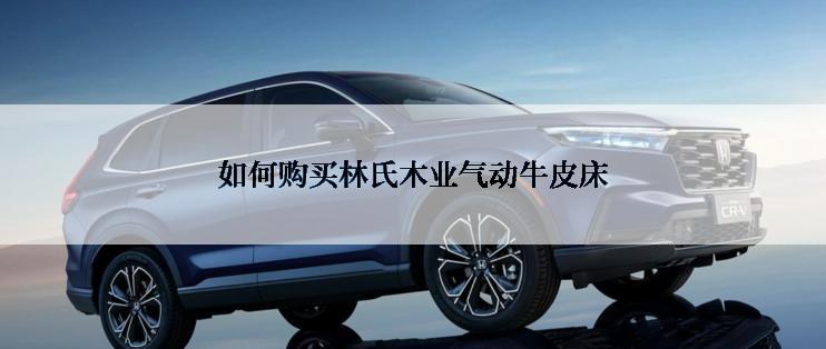 如何购买林氏木业气动牛皮床