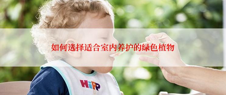 如何选择适合室内养护的绿色植物