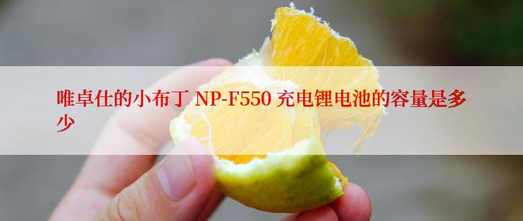 唯卓仕的小布丁 NP-F550 充电锂电池的容量是多少
