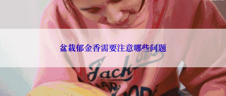 盆栽郁金香需要注意哪些问题