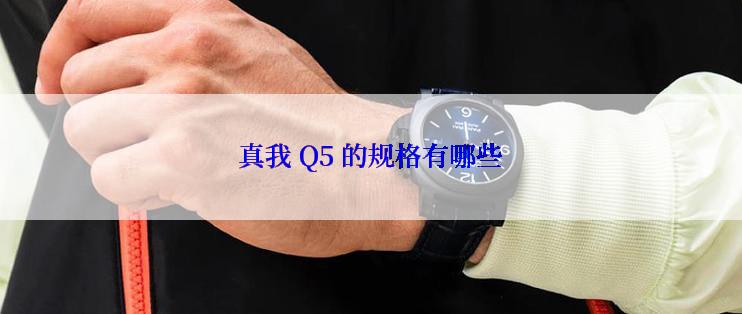 真我 Q5 的规格有哪些