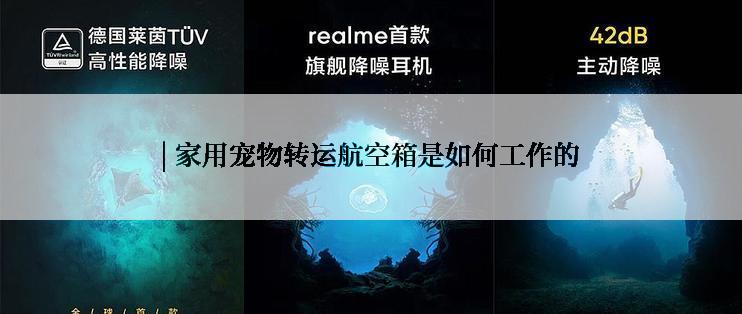 | 家用宠物转运航空箱是如何工作的