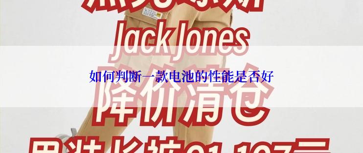 如何判断一款电池的性能是否好