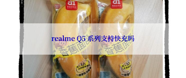 realme Q5 系列支持快充吗