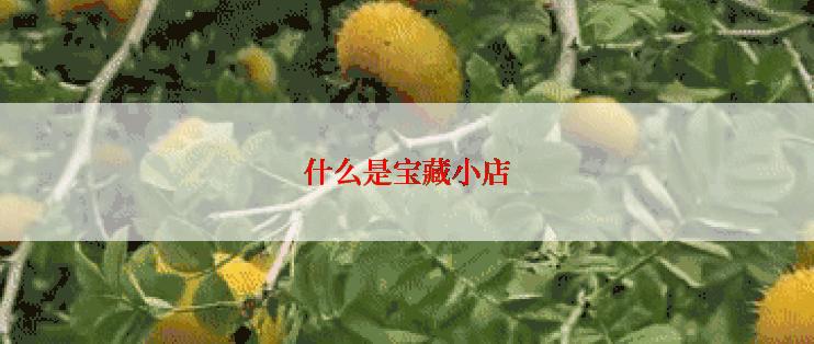 什么是宝藏小店