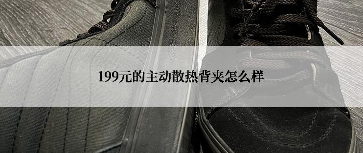 199元的主动散热背夹怎么样