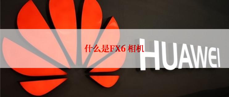 什么是FX6 相机
