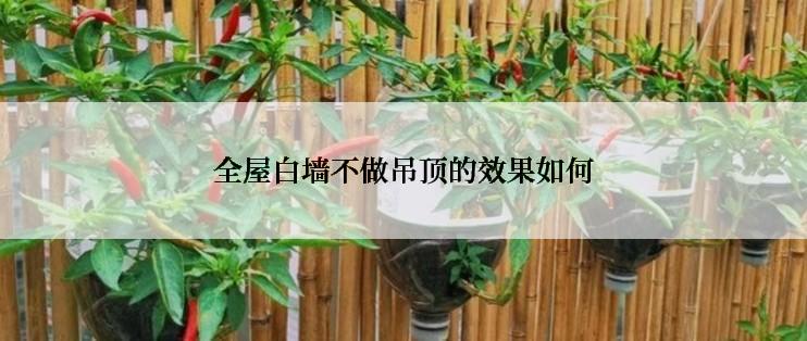 全屋白墙不做吊顶的效果如何