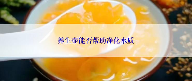 养生壶能否帮助净化水质