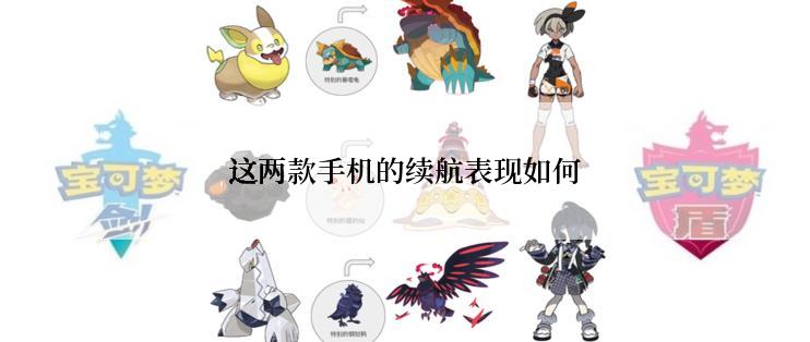 这两款手机的续航表现如何