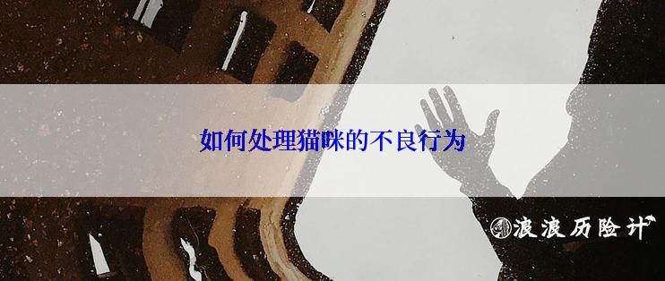 如何处理猫咪的不良行为