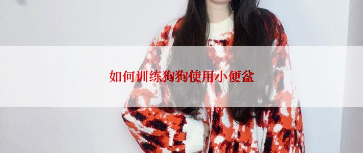 如何训练狗狗使用小便盆