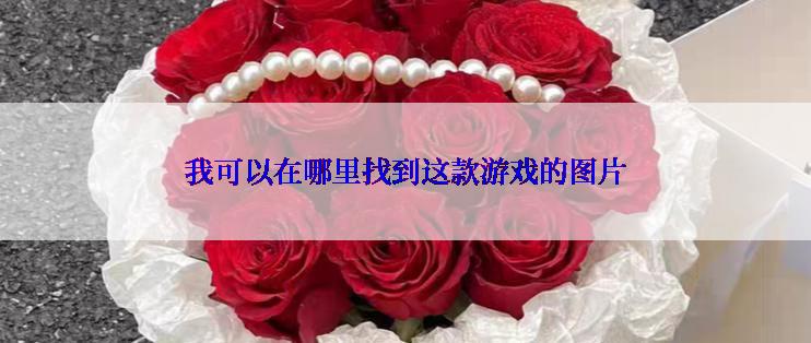 我可以在哪里找到这款游戏的图片