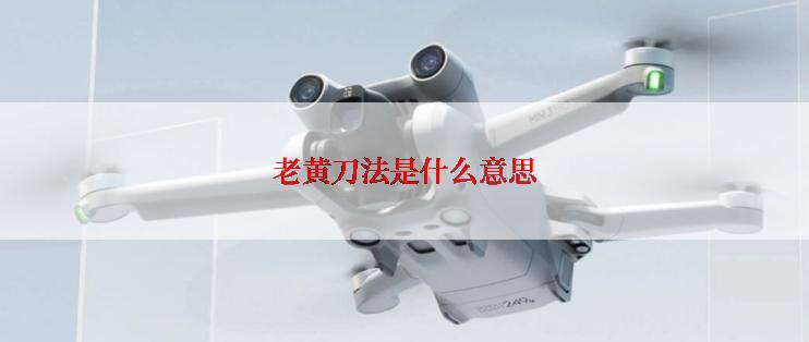 老黄刀法是什么意思