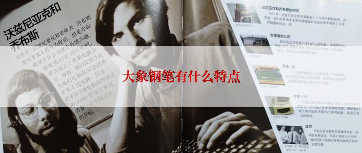 大象钢笔有什么特点