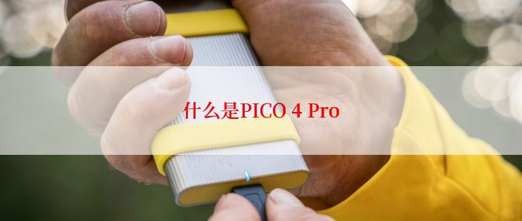 什么是PICO 4 Pro