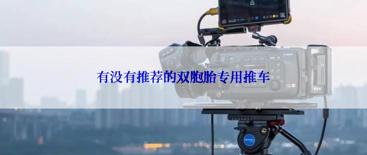 有没有推荐的双胞胎专用推车