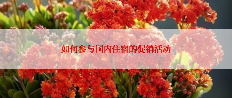 如何参与国内住宿的促销活动