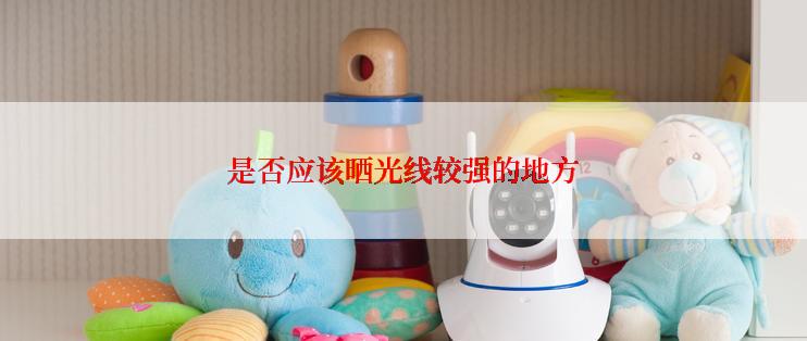 是否应该晒光线较强的地方