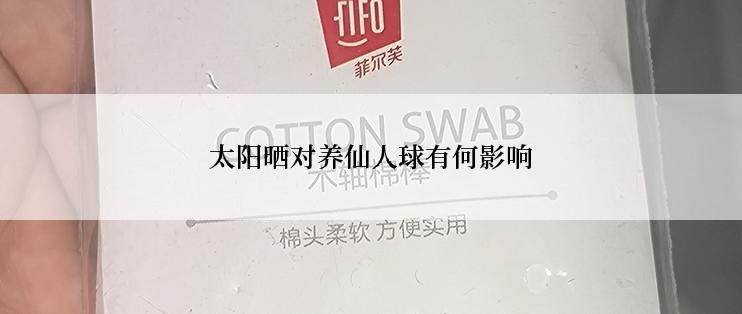 太阳晒对养仙人球有何影响