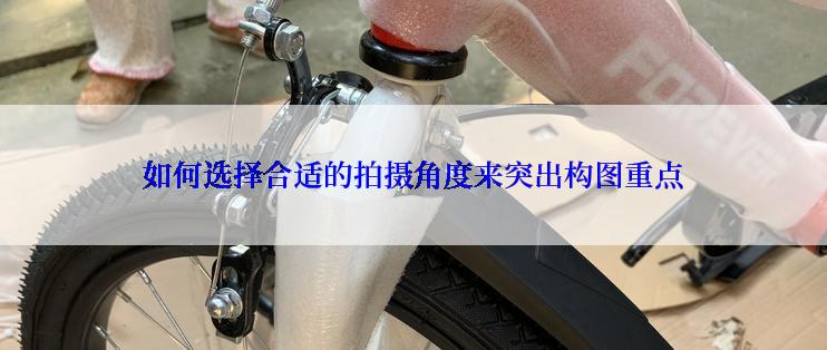 如何选择合适的拍摄角度来突出构图重点