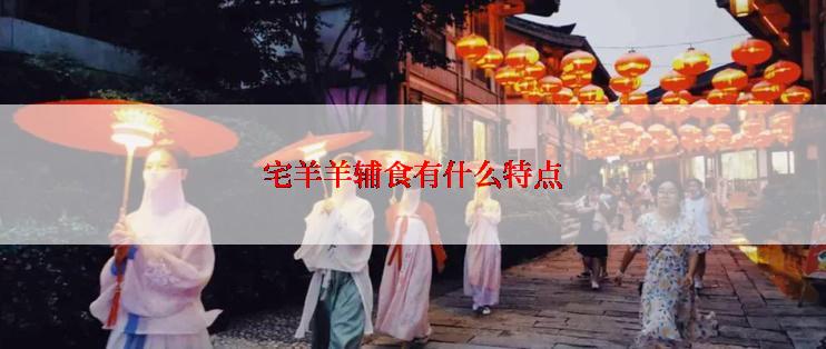 宅羊羊辅食有什么特点