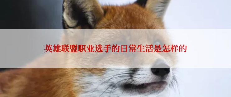 英雄联盟职业选手的日常生活是怎样的