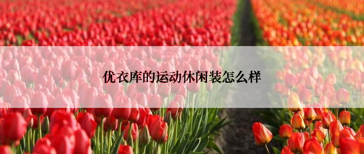优衣库的运动休闲装怎么样