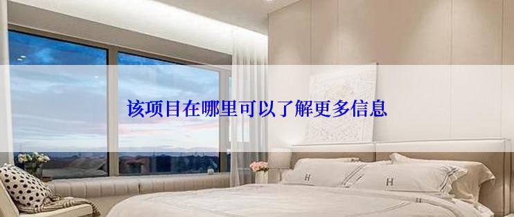 该项目在哪里可以了解更多信息